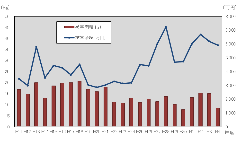 R4被害状況調査報告被害面積と金額