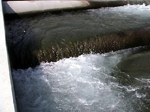 多様な流速を生み出す越流断面