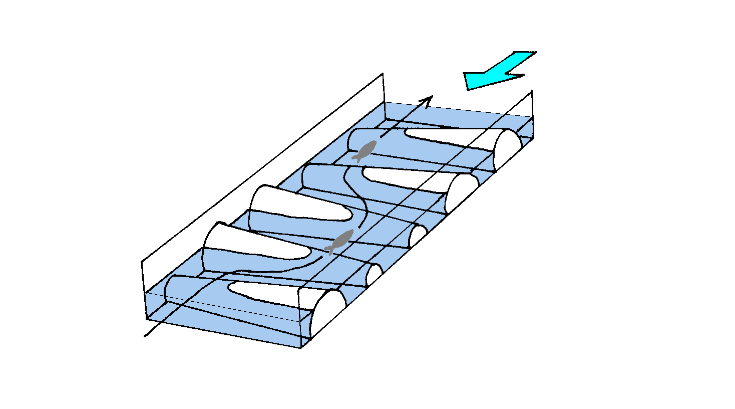 魚に優しいハーフコーン型魚道